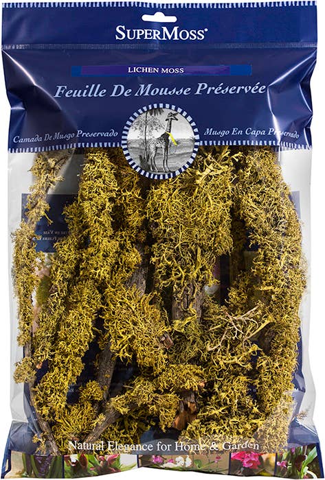 SuperMoss - Wholesale Artificial Plant - Branched Wolfen Lichen2