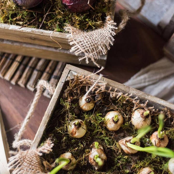 Rustic Reach - Wholesale Basket - Solid Wood Crate With Rope Handles6