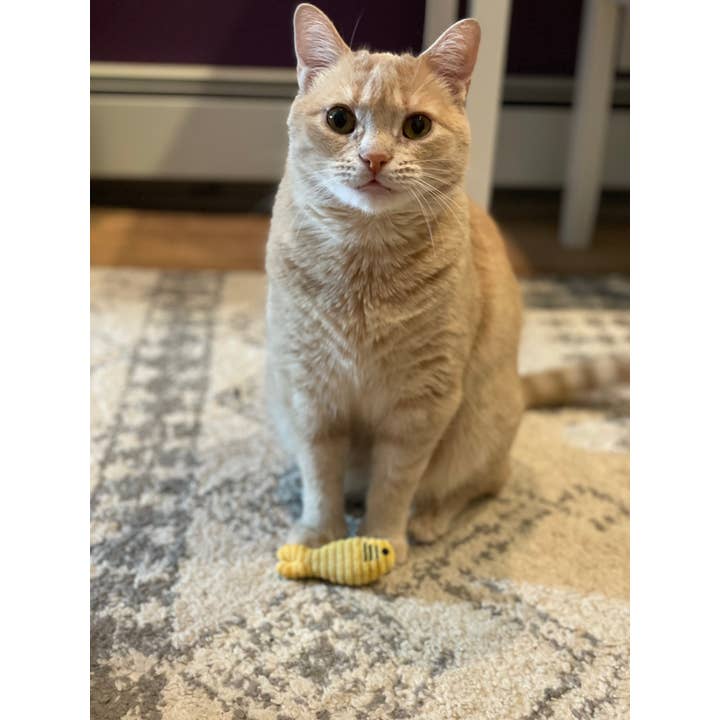 HuggleGroup - Wholesale Pet Toy - Cat - HuggleKats® Sardinies Cat Toys (3pk)