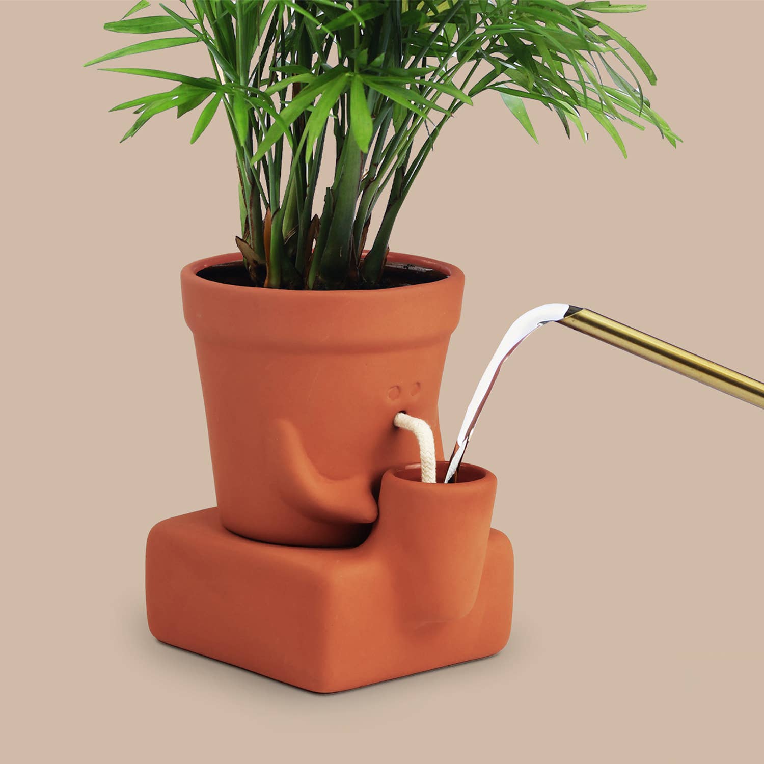 Pikkii - Vente Pot - Le Planteur Assoiffé | Pot de Plante Auto-Arrosant | Cadeau de Plante5