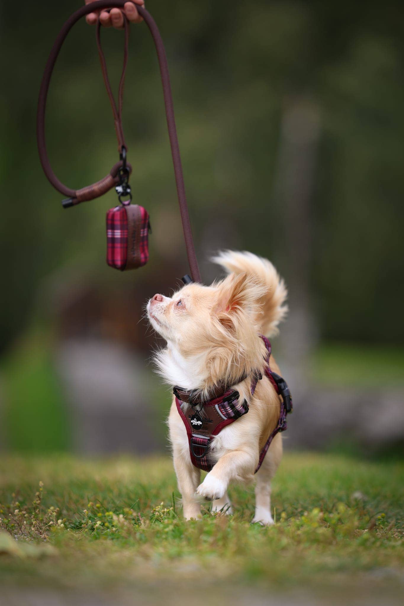 The aDoraBle Pooch Company - Wholesale Pet Harness - Dog - Streamline Pro™ Dog Harness - Heritage Collection - Merlot Manor16