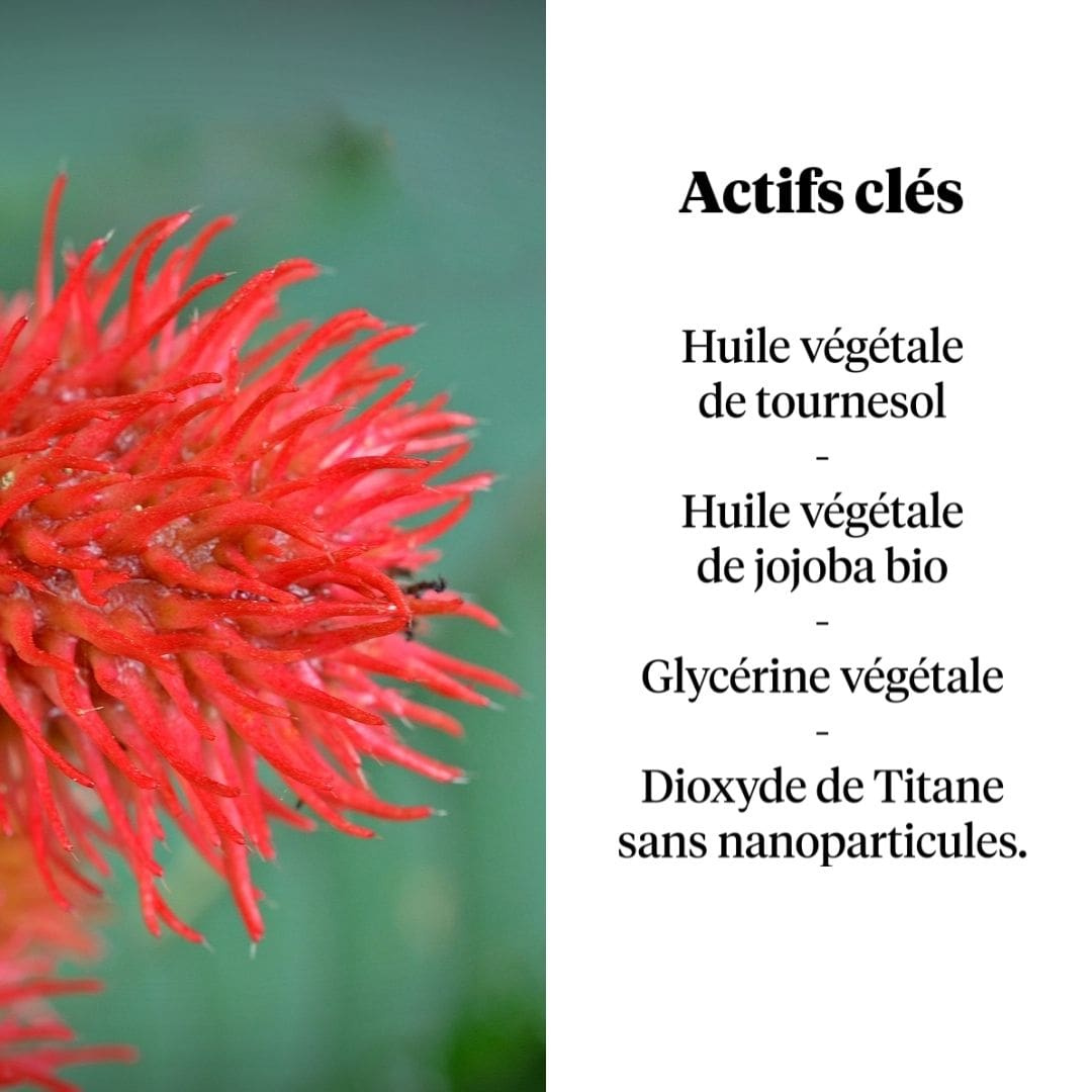 SEVENTYONE PERCENT – Engroshandel Solcreme – „The Pacha Mama“ SPF50+ Solstift - 15g5