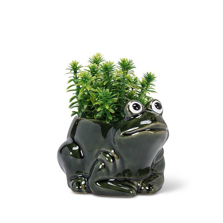 Abbott - Wholesale Plant Pot - Sm Crouched Frog Planter-4.5" L2