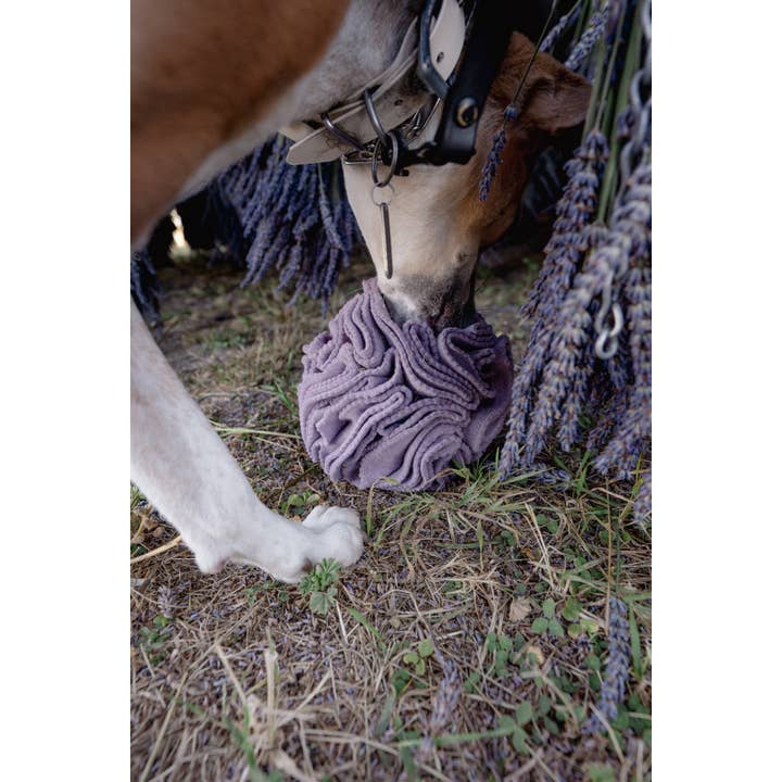 Love Liparu - Wholesale Pet Plush Toy - Dog - Snuffle Ball4