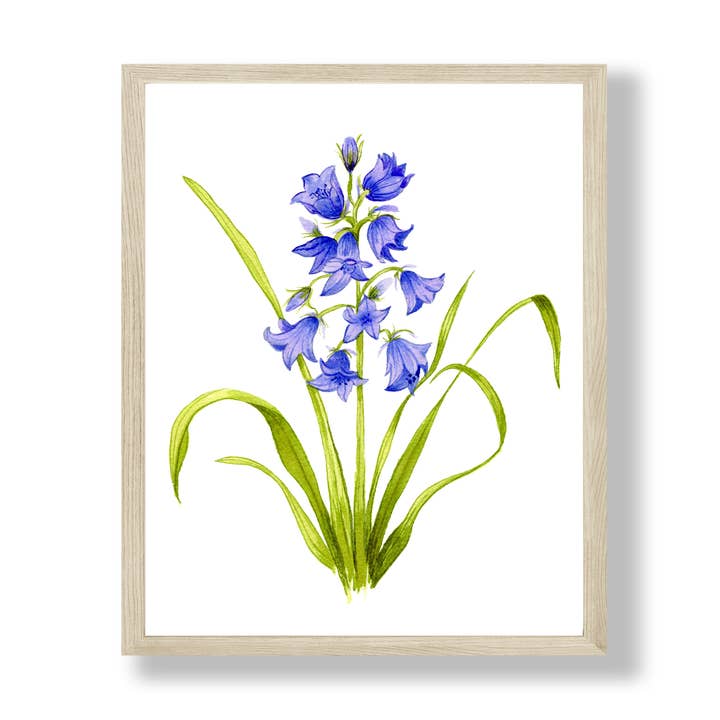 Bluebells Botanical Floral Art Print for wholesale by Aaryn West
