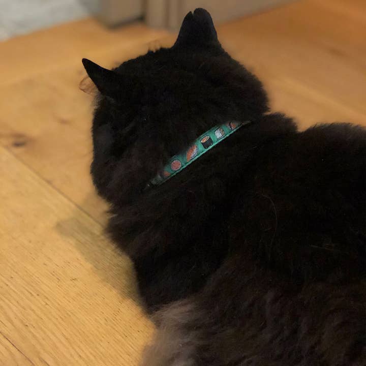 Pet Palette Distribution - Wholesale Pet Collar - Cat - Up Country Sushi Cat Collar