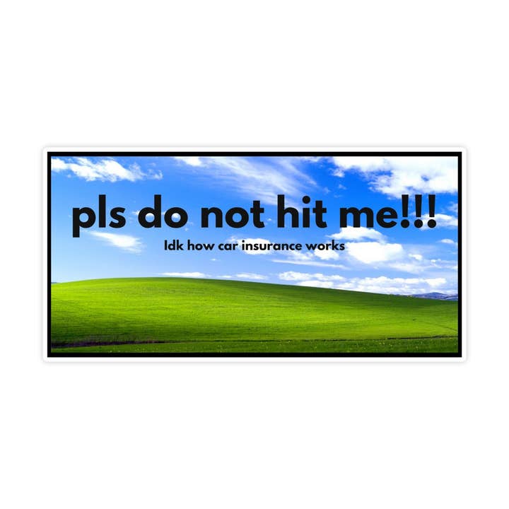 Pls Do Not Hit Me Sticker, I Don't Know How Car Insurance Works Sticker, Funny Meme Sticker, Joe Biden Sticker, Vinyl Sticker, Hydroflask for wholesale by Sticker Bull