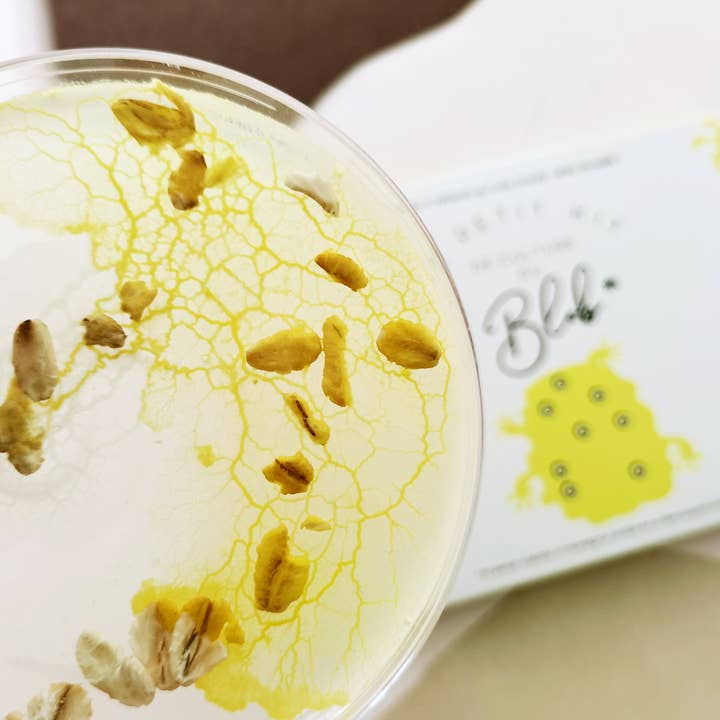 Pamela Loops - Wholesale DIY Craft Kit - Kids - Kit de culture de Blob3