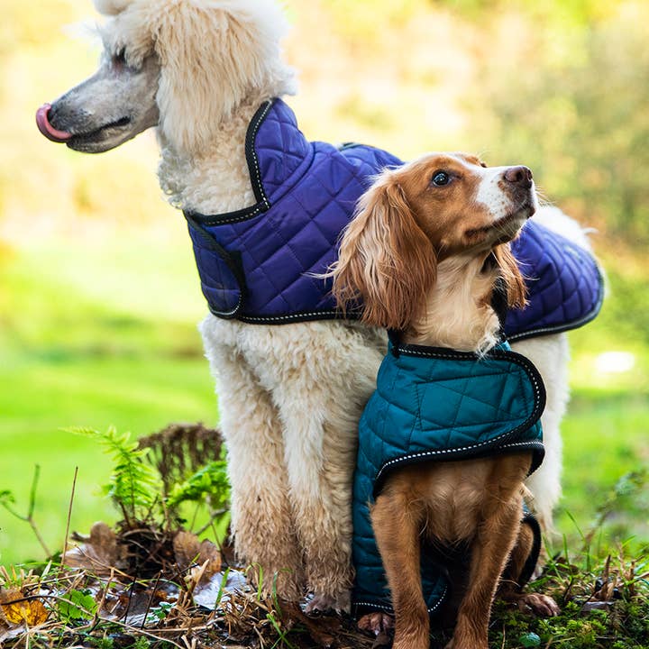 Henry Wag - Wholesale Pet Jacket - Dog - Henry Wag Quilted Dog Jacket8