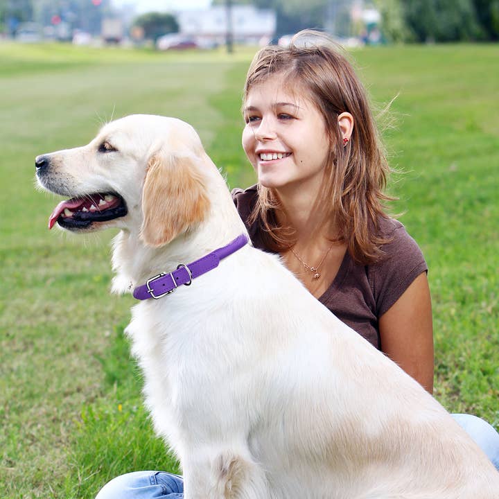 Dogline - Wholesale Pet Collar - Dog - Soft Leather Round Collar