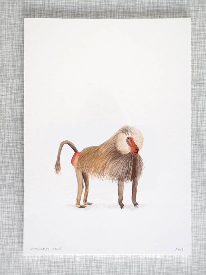 Baboon Animal Print A4 size for wholesale by Mary and the Locks
