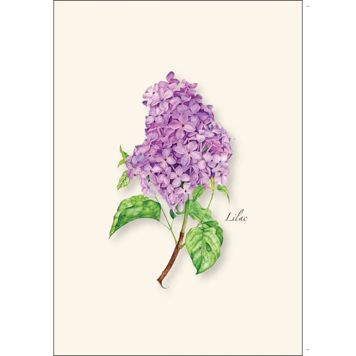 Earth Sky + Water - Wholesale Stationery/Notecard Set - Lilac1