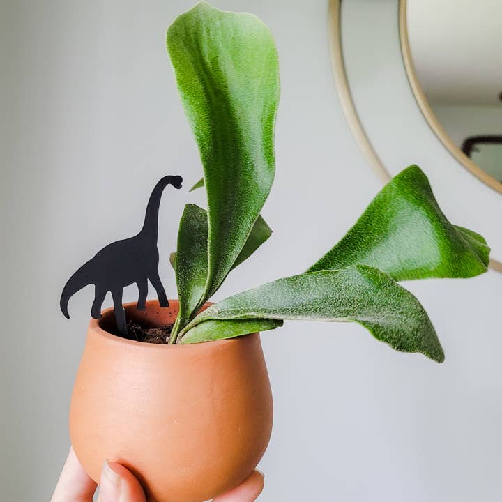 Leaf & Node - Wholesale Plant Pot - Dinosaur Indoor Plant Accessory Stake - Brachiosaurus6