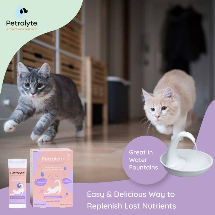 Petralyte - Wholesale Pet Supplement - Cat - Cat Electrolyte and Joint Supplement | Salmon Lovers
