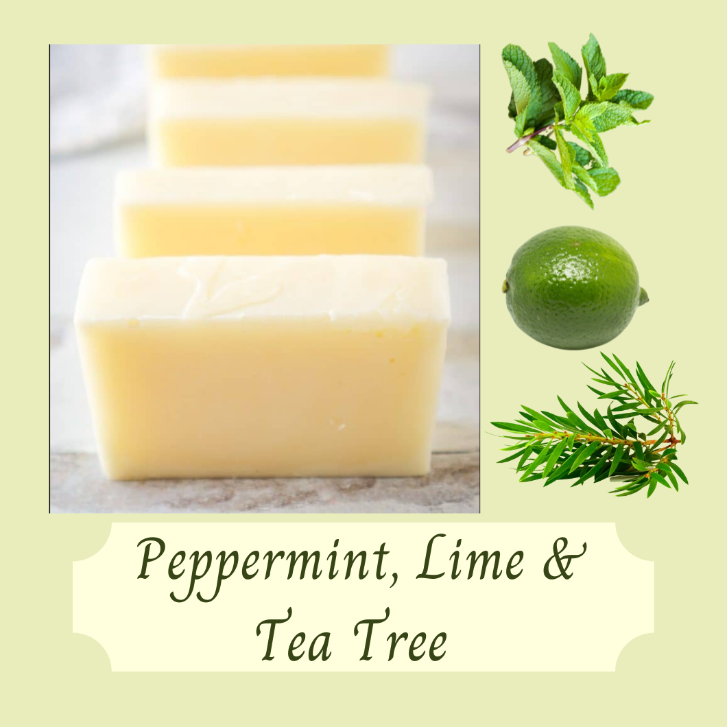 BEEZY ECO - Wholesale Dish Soap - Solid Dish Soap Bar Peppermint, Lime & Tea Tree5