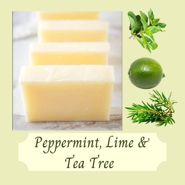 BEEZY ECO - Wholesale Dish Soap - Solid Dish Soap Bar Peppermint, Lime & Tea Tree5