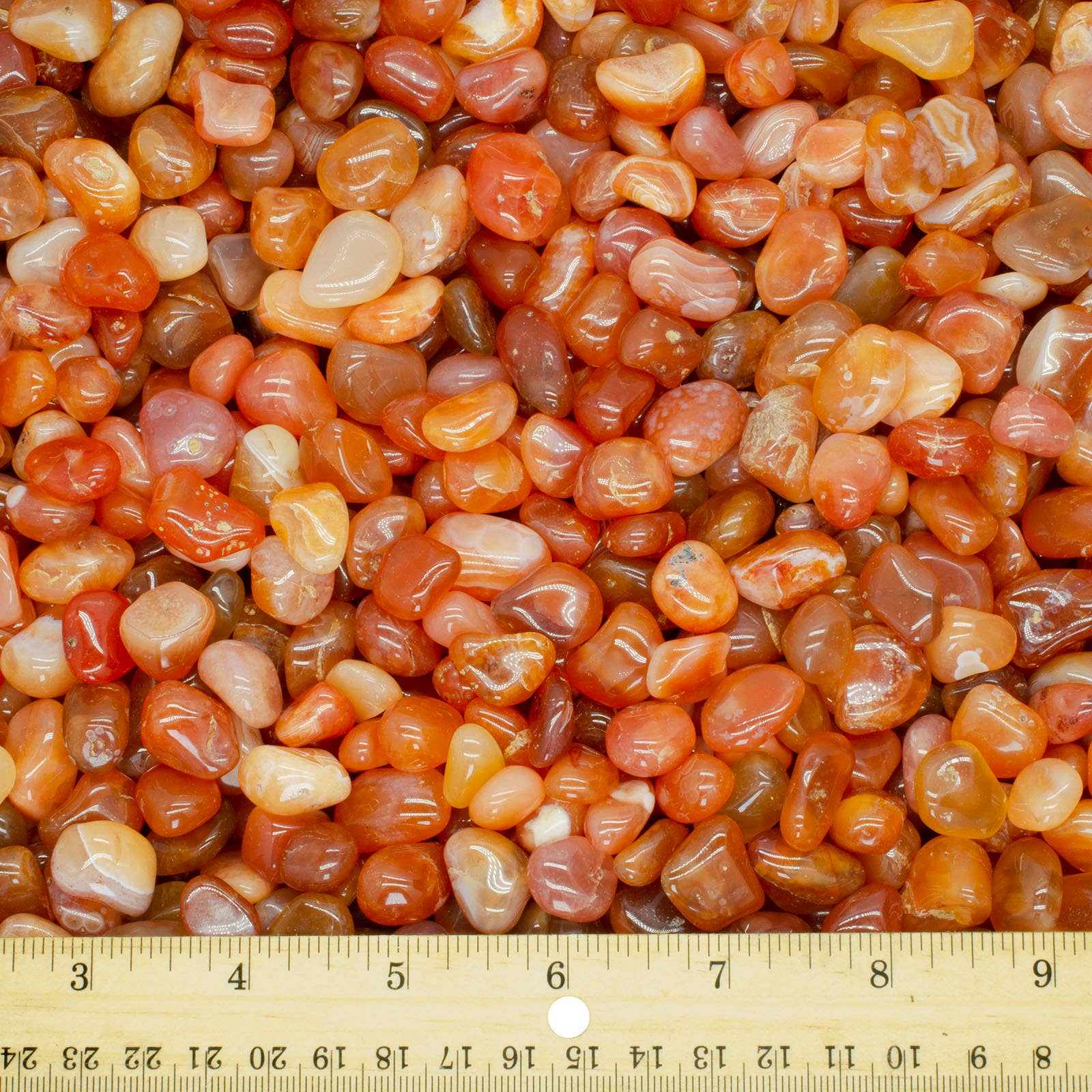 Fantasia Mining - Wholesale Spiritual Stone/Crystal - Tumbled Botswana Carnelian - 0.5" to 0.75" - Size 5 (1lb)2