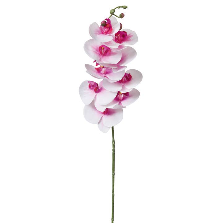 Moon Orchid Stem for wholesale by CTW Home Collection