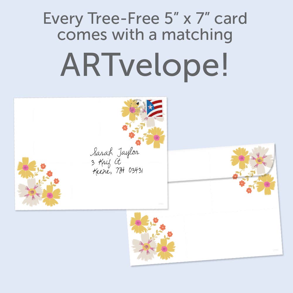 Tree-Free Greetings - Wholesale Everyday Greeting Card - Be Silly All Occasion 6 Pack 197812