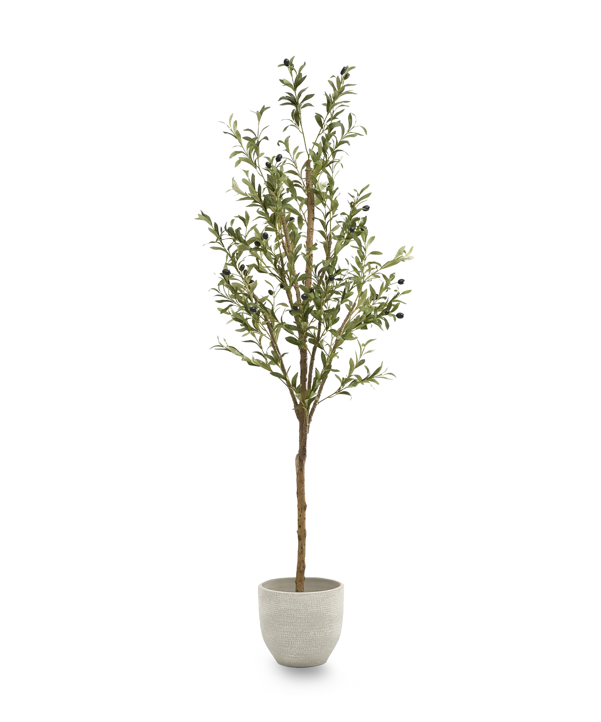 Maia Shop - Vente Plantes artificielles - Olivier artificiel minimaliste 180 cm1
