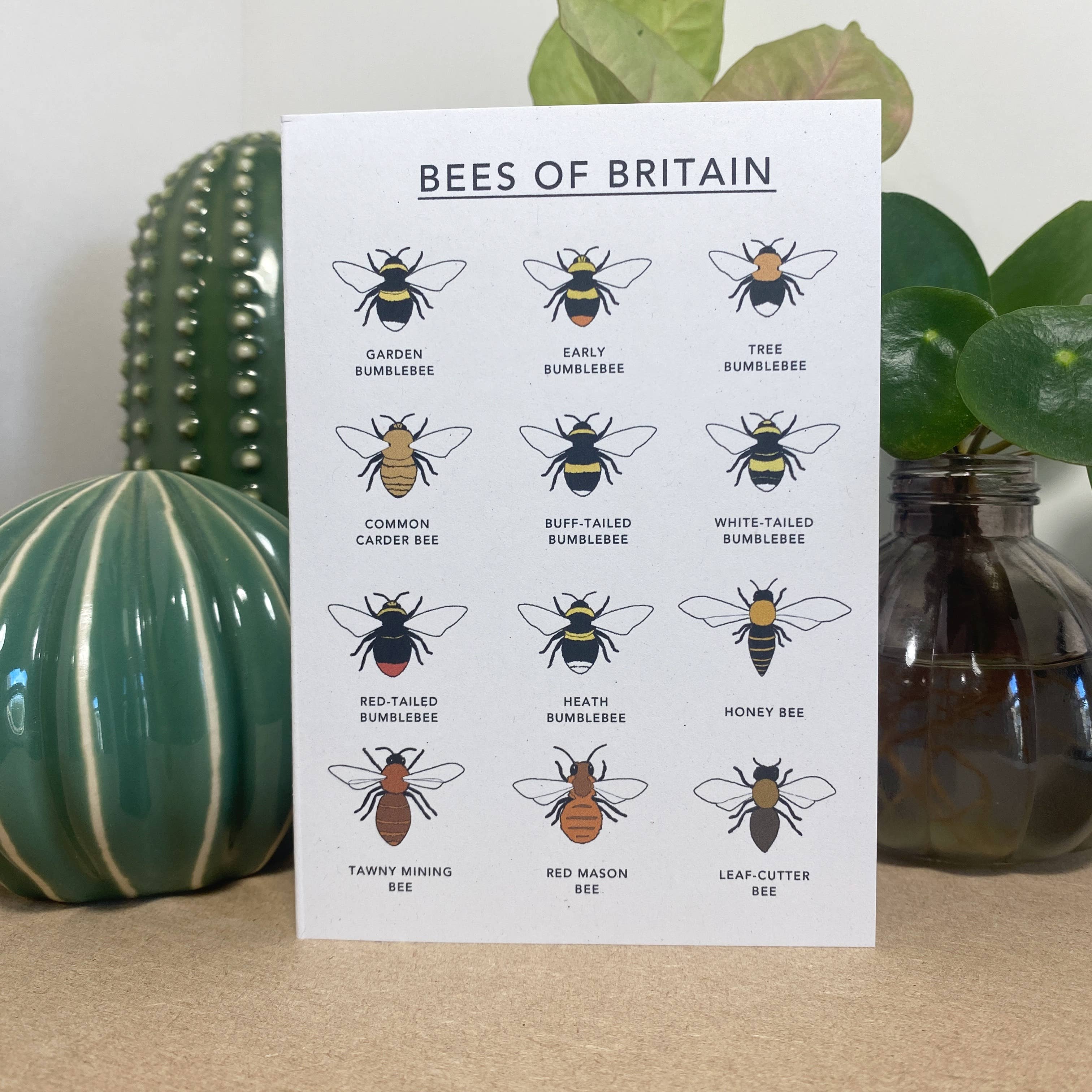Kate Broughton - Wholesale Everyday Greeting Card - Bee card - recycled & eco friendly1