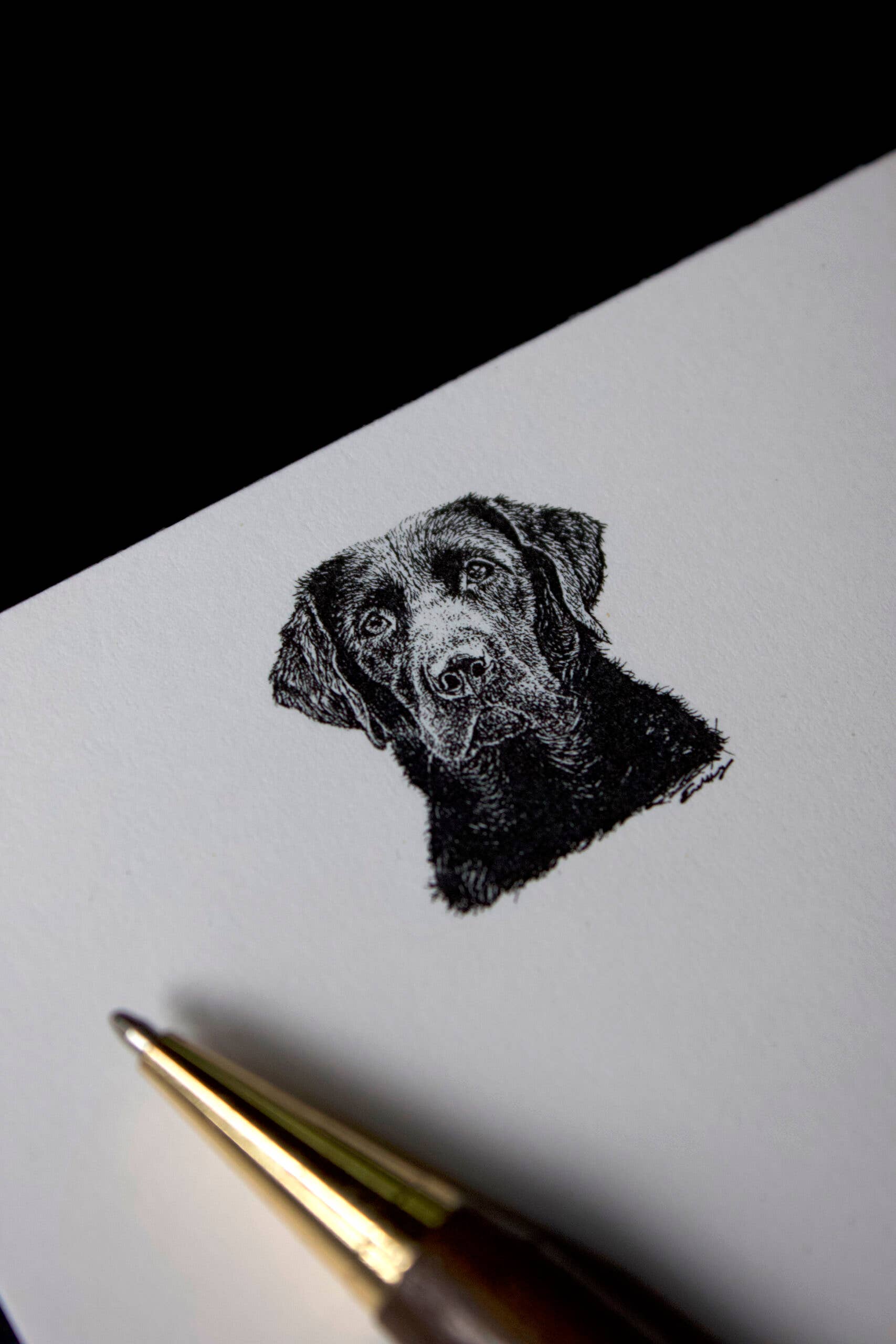 Ancesserie Letterpress - Wholesale Notepad - Lab Long Pad1