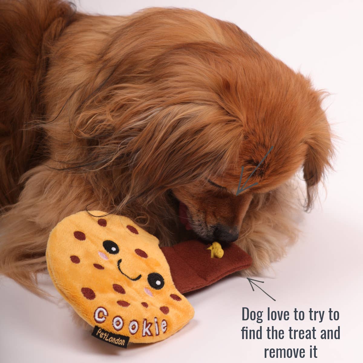 PetLondon - Vente Peluche – chien - Jouet pour chiens Nosework Cookie2