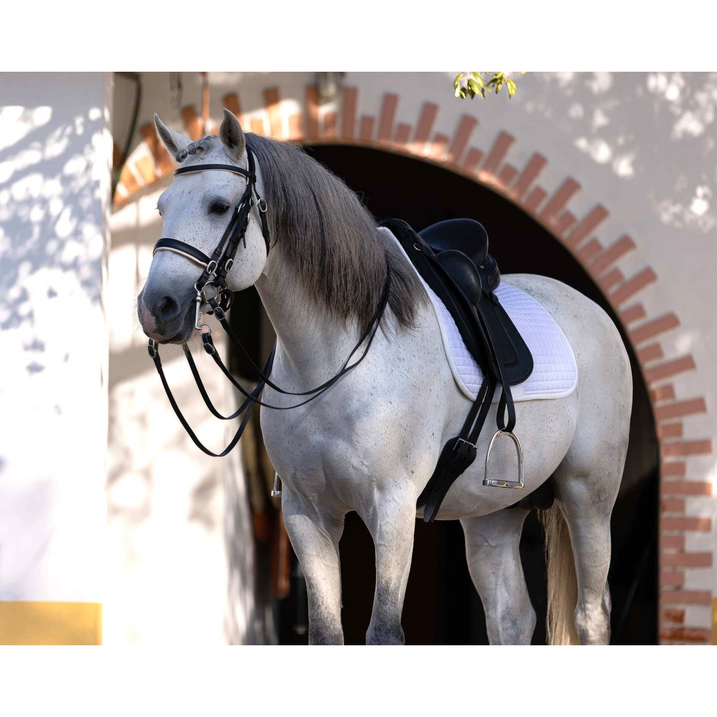 VMCS Selaria Europe - Wholesale Horseback Riding Gear - English Mix Saddle1