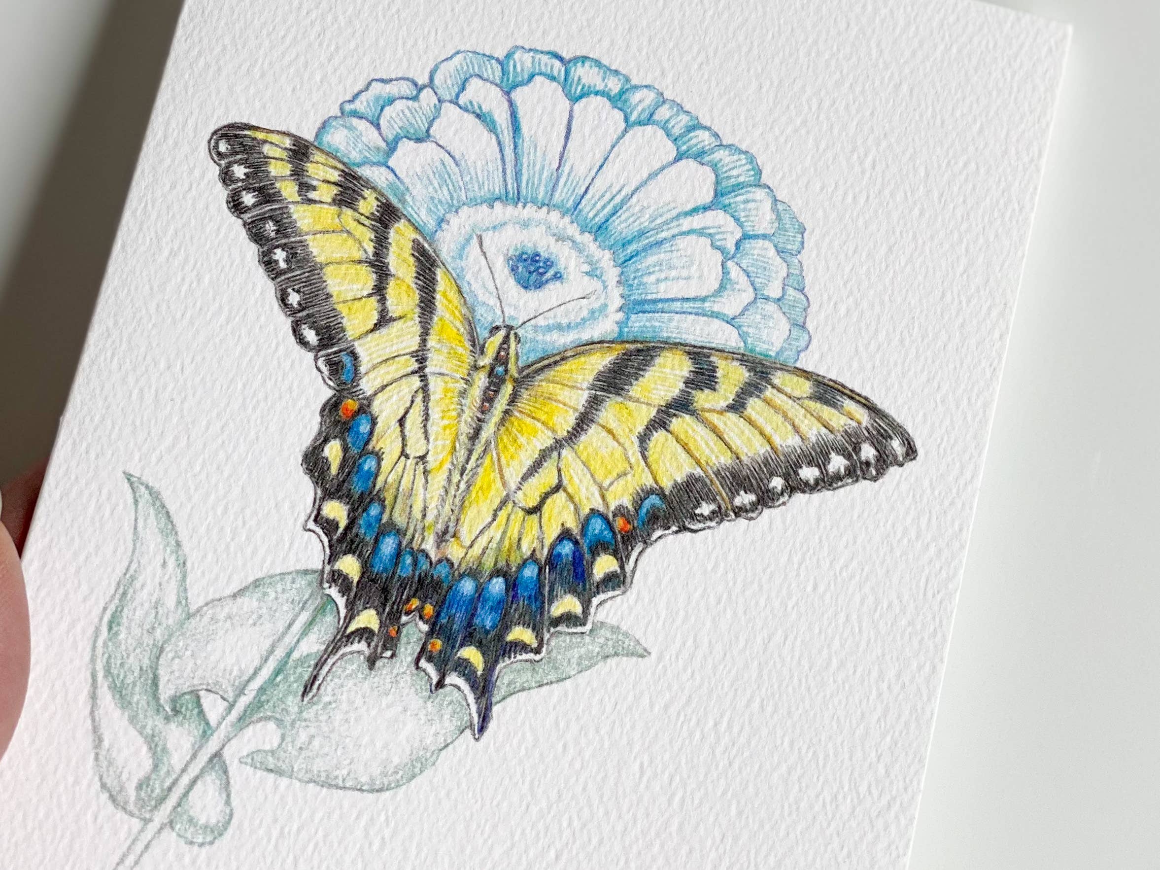 REMOVED BRAND - Wholesale Stationery/Notecard Set - Garden Butterfly - Boxed Set2