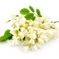 MIELS VILLENEUVE - Wholesale Honey - Press' Acacia Honey from Romania or Hungary or Bulgaria 250g1