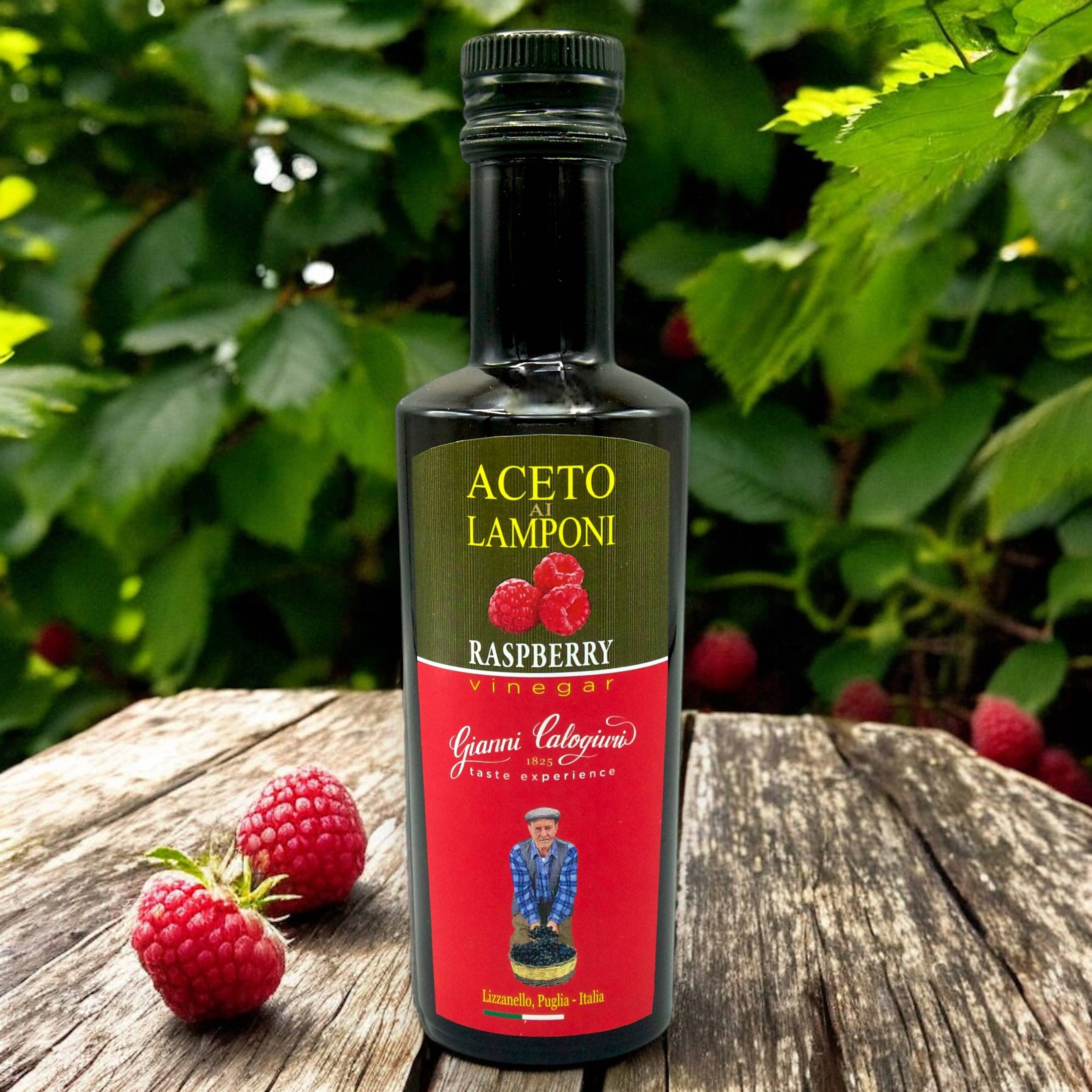 Vincotto Balsamico Gianni Calogiuri Azienda Agricola - Wholesale Vinegar - Raspberry Vinegar1
