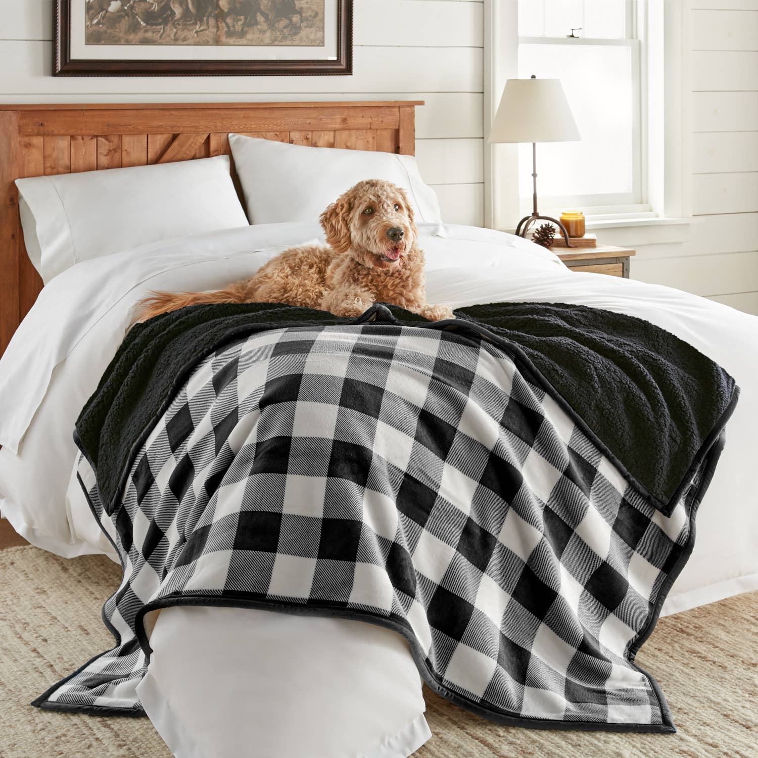 Crafted by Catherine - Wholesale Throw Blanket - Velvet Plush Throw 60" x 70"1