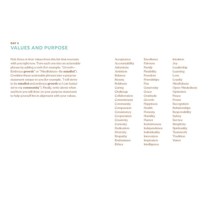 Chronicle Books - Wholesale Journal/Diary - Abundance9