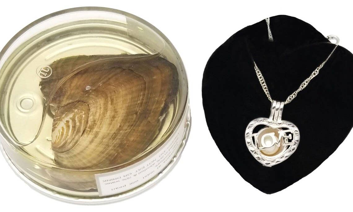 7 Star – wholesale Jewellery set – "My Love Heart" Love Pearl Kit with Pendant Necklace1