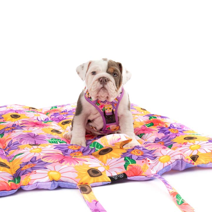 Big and Little Dogs - Wholesale Pet mat – Dog - ON-THE-GO PET MAT: Spring Fling4