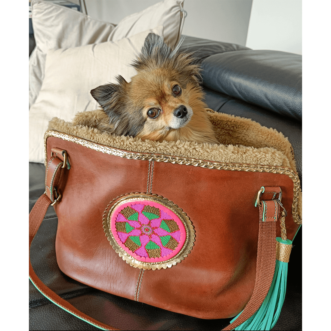 Dog with a Mission - Wholesale Pet Purse - Dogs - Bonita Leather Dog Carrier Bag (up to 8 kg)10