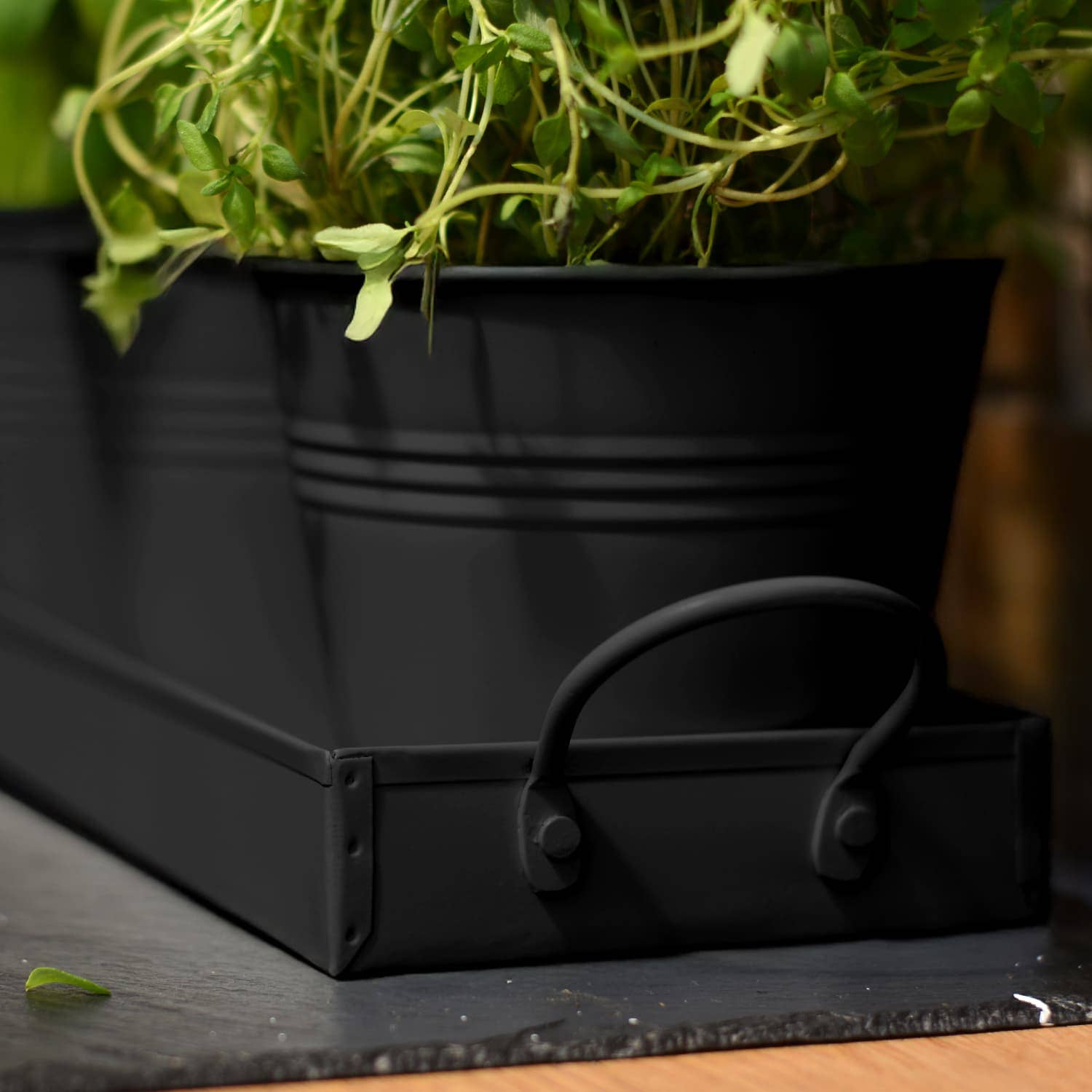 Wholesale Gifts Tomorrow – Engroshandel Plantekrukke – Sæt med 3 metal urte-/plantepotter med drypbakke (mat sort)4