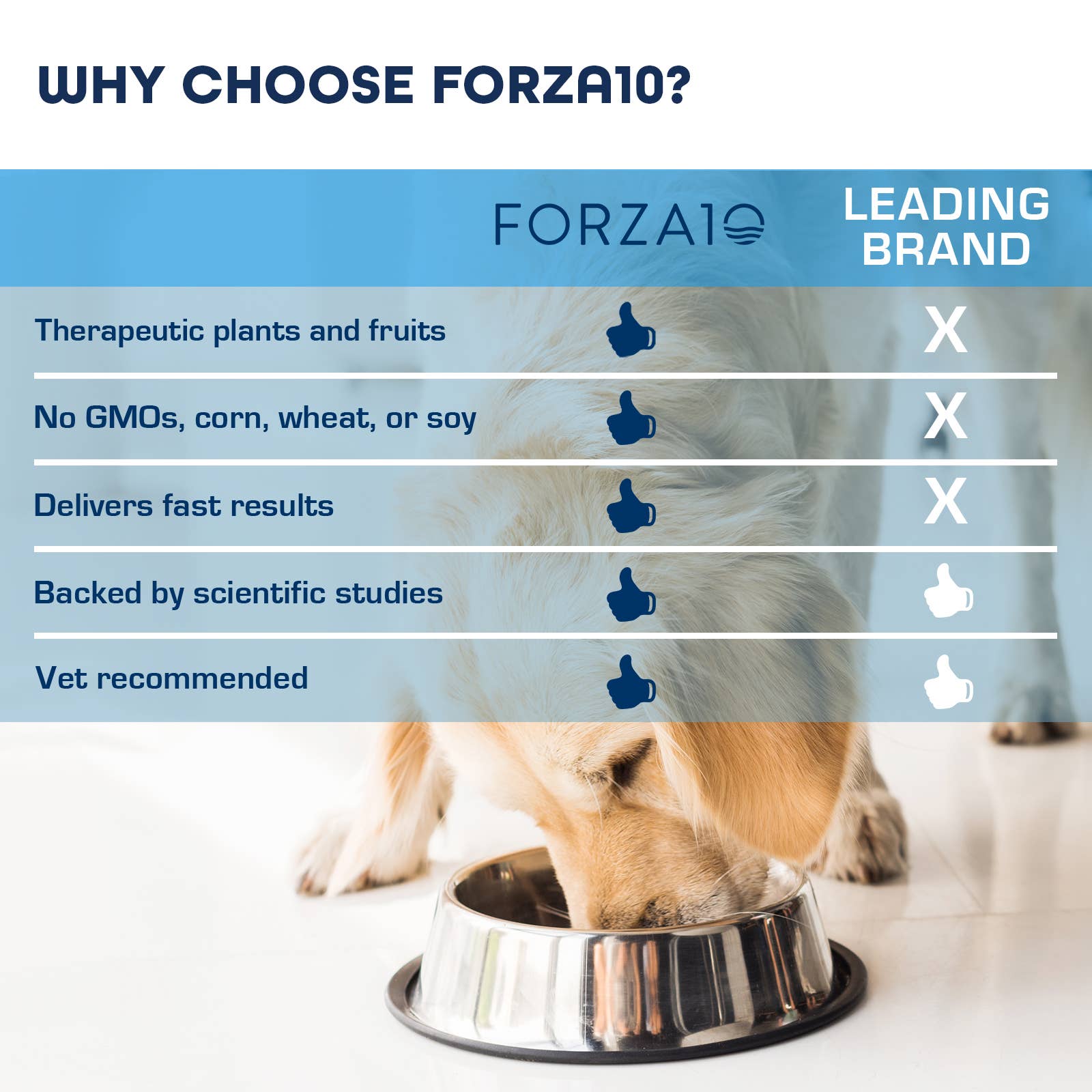 Forza10 Pet Food – comida - Cão por atacado – Forza10 Actiwet Hipoalergênico Alimentos para cães enlatados sabor cordeiro3