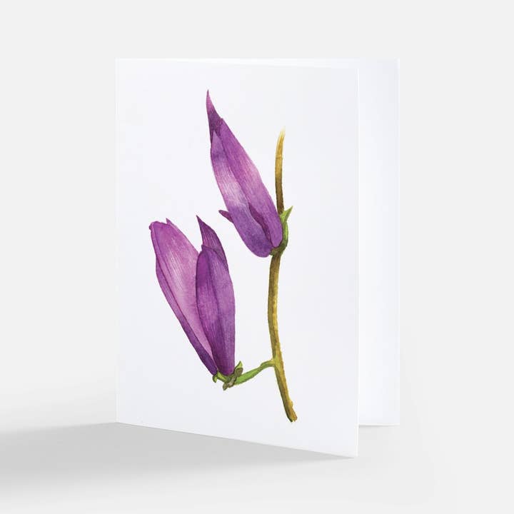 Purple Magnolia Greeting Card for wholesale by Natella Libin