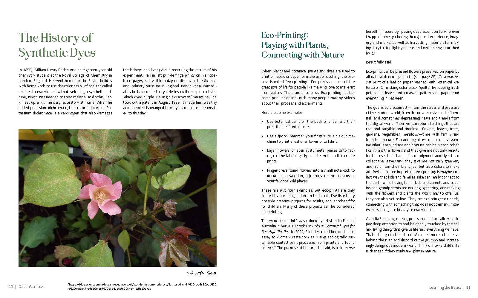 Familius, LLC - Wholesale Crafts, Hobbies & DIY - 1000 Botanical Colors3