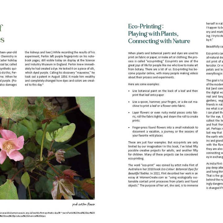 Familius, LLC - Wholesale Crafts, Hobbies & DIY - 1000 Botanical Colors3