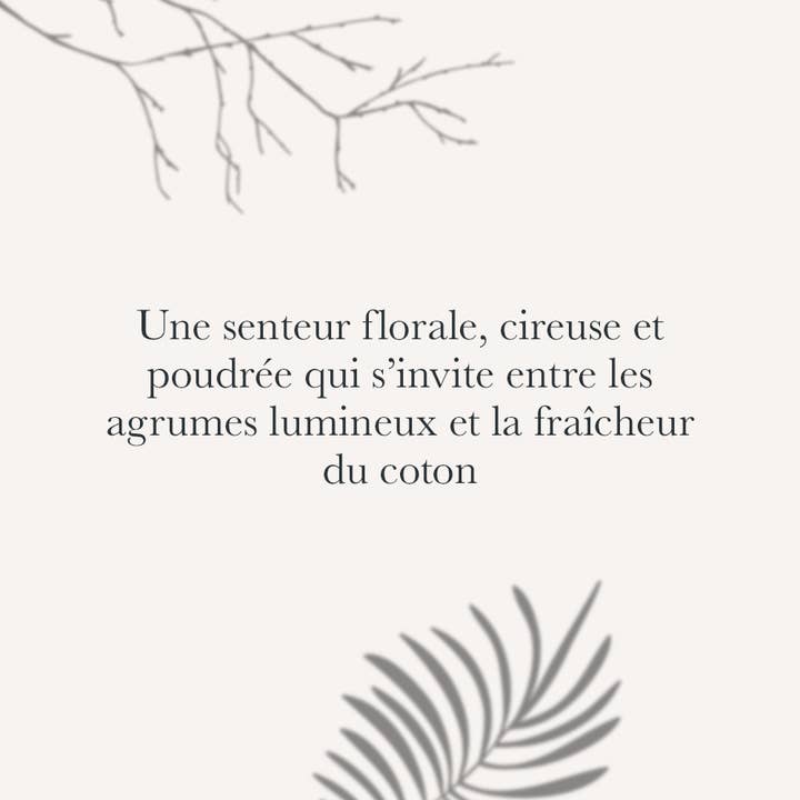 Iviucciu Di Corsica – Perfume/Eau de Toilette por atacado – Fragrância de ambiente flor de laranjeira 100 ml1