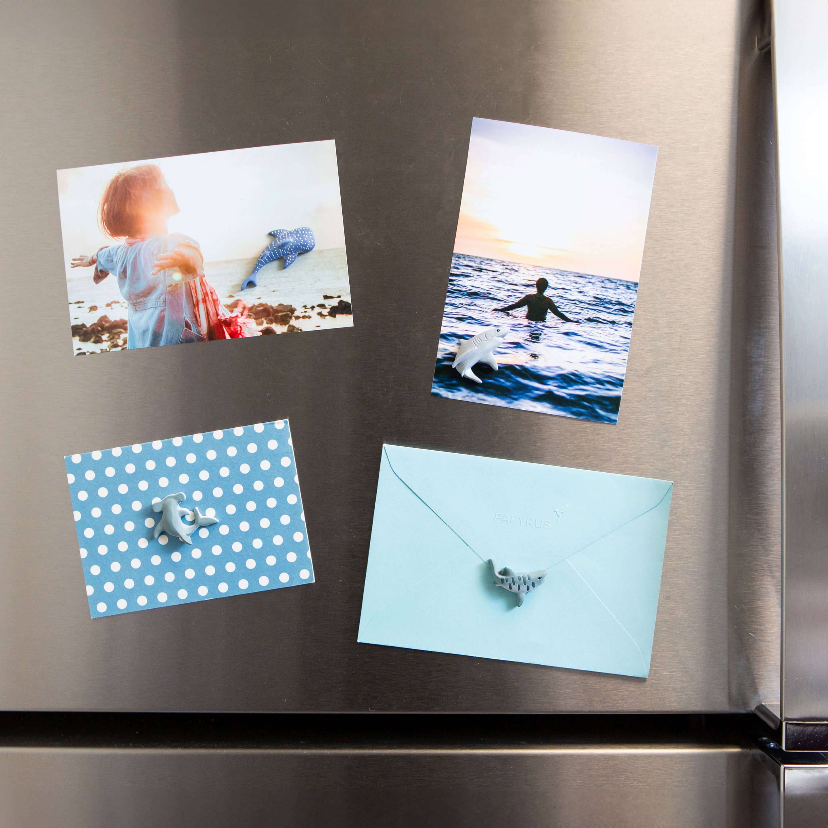 Three by Three Seattle - Wholesale Magnet - colorful SHARK magnets s/41