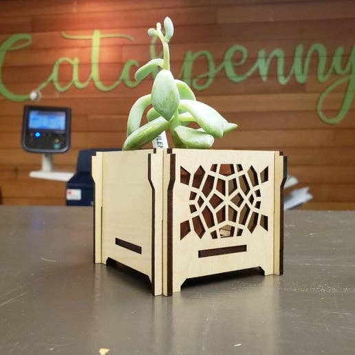 Tortoise Shell Wooden Planter Box for wholesale by Catchpenny