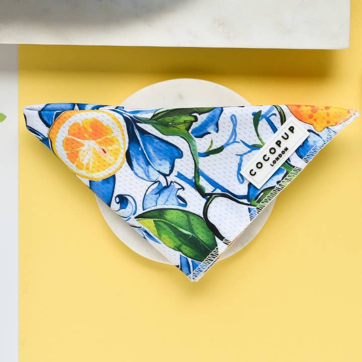 Bandana - Amalfi Lemon voor wholesale door Cocopup London