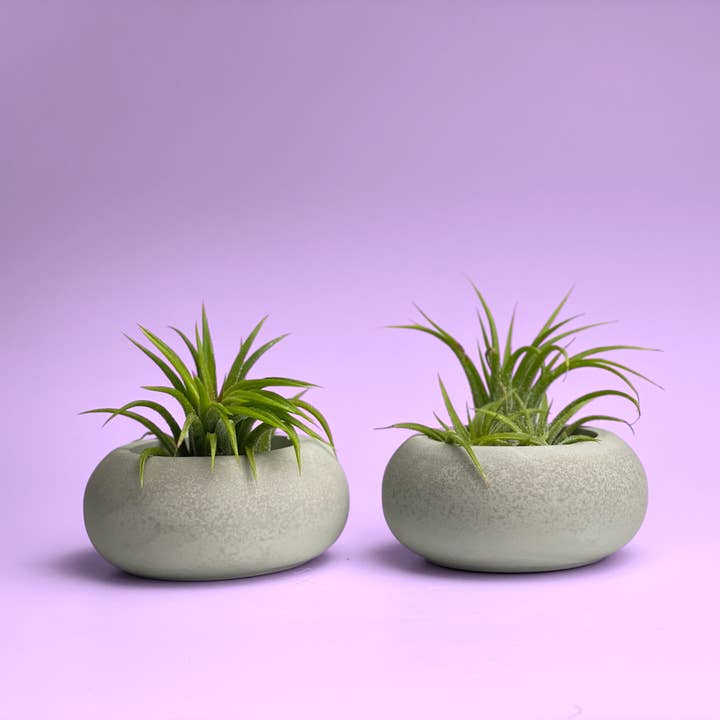AURA 8 Art Boutique – wholesale Kruka – Söt Air Plant Hållare, Modern Airplant Display