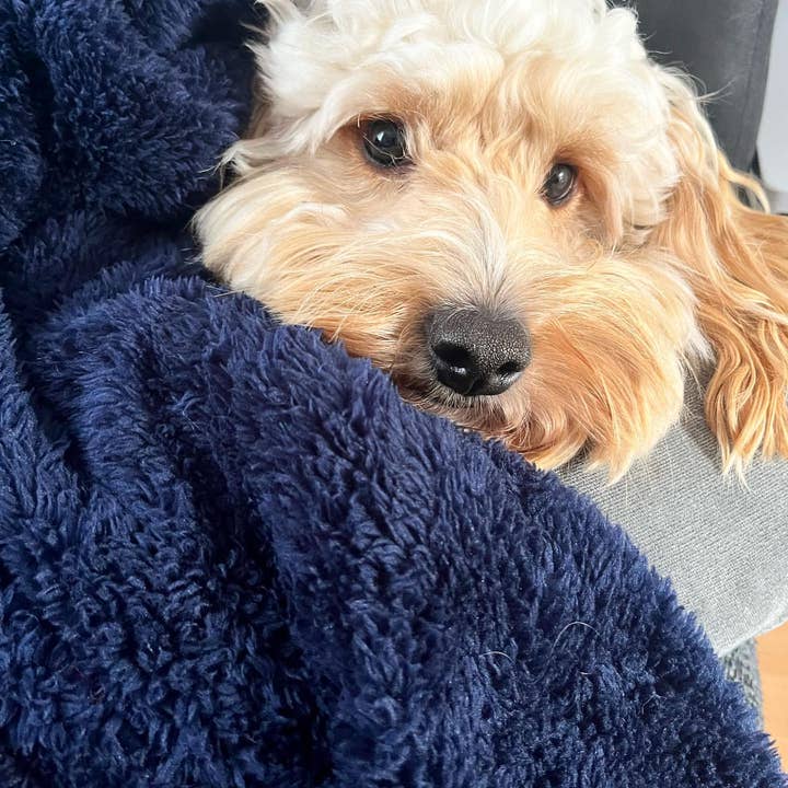 Pet Wiz - Wholesale Pet blanket – Cat/dog - Fluffy Fleece Blanket - Soft & Warm Throw for Dogs & Cats9