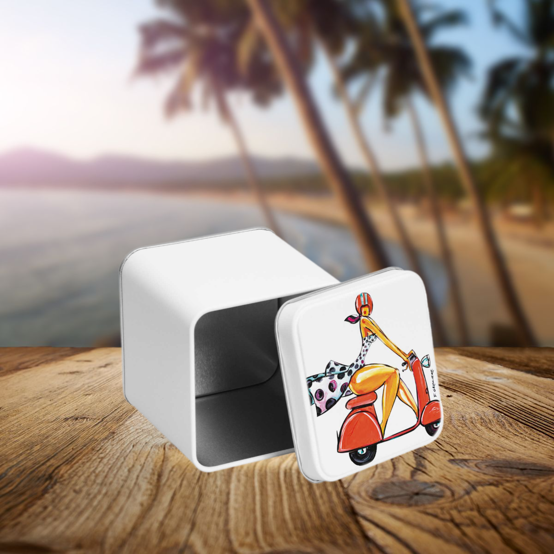 Printbox - Wholesale Ornament - Cube Box by Artist François Groslière1