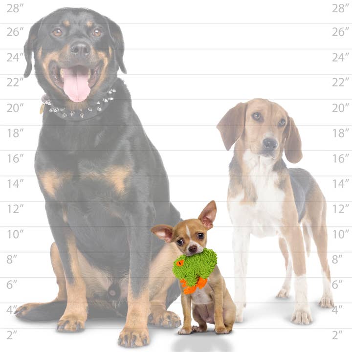 Tuffy Dog Toys - VIP Products - Wholesale Pet Squeaky Toy - Dog - Mighty Jr Micro Fiber Frog, Durable, Squeaky Dog Toy