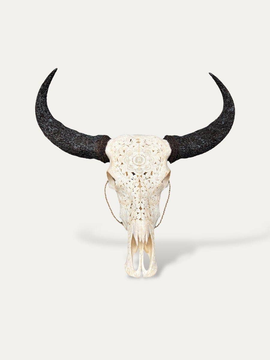 White bone Buffalo skull with carved horns - Sakti for wholesale on Faire0